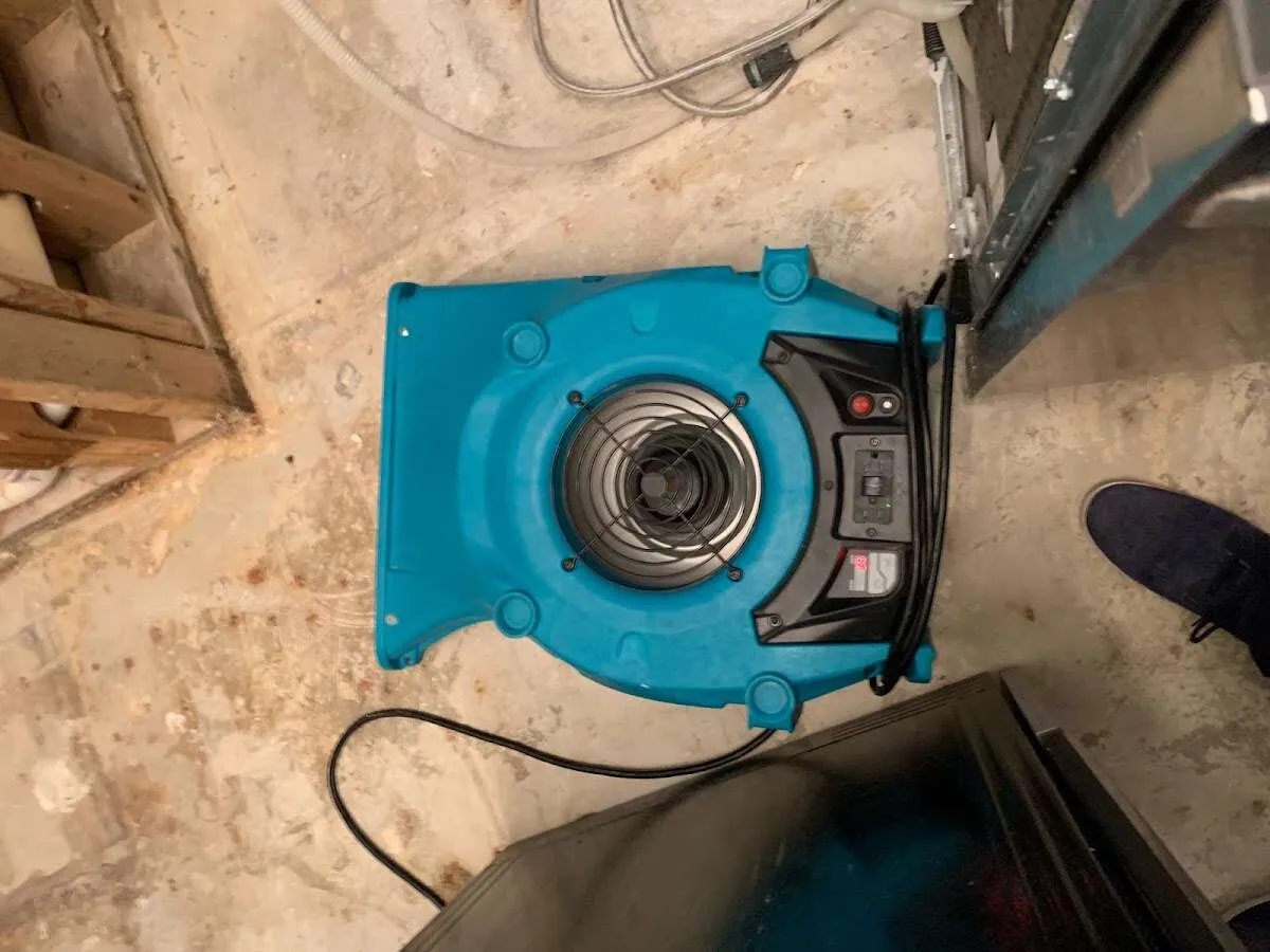 Air mover drying equipment for Mold Remediation & Removal in Weston